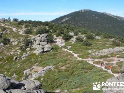 Senda Herreros - Puerto de Navacerrada - Valle de Fuenfría - Ducha de los Alemanes -Embalse Berceas